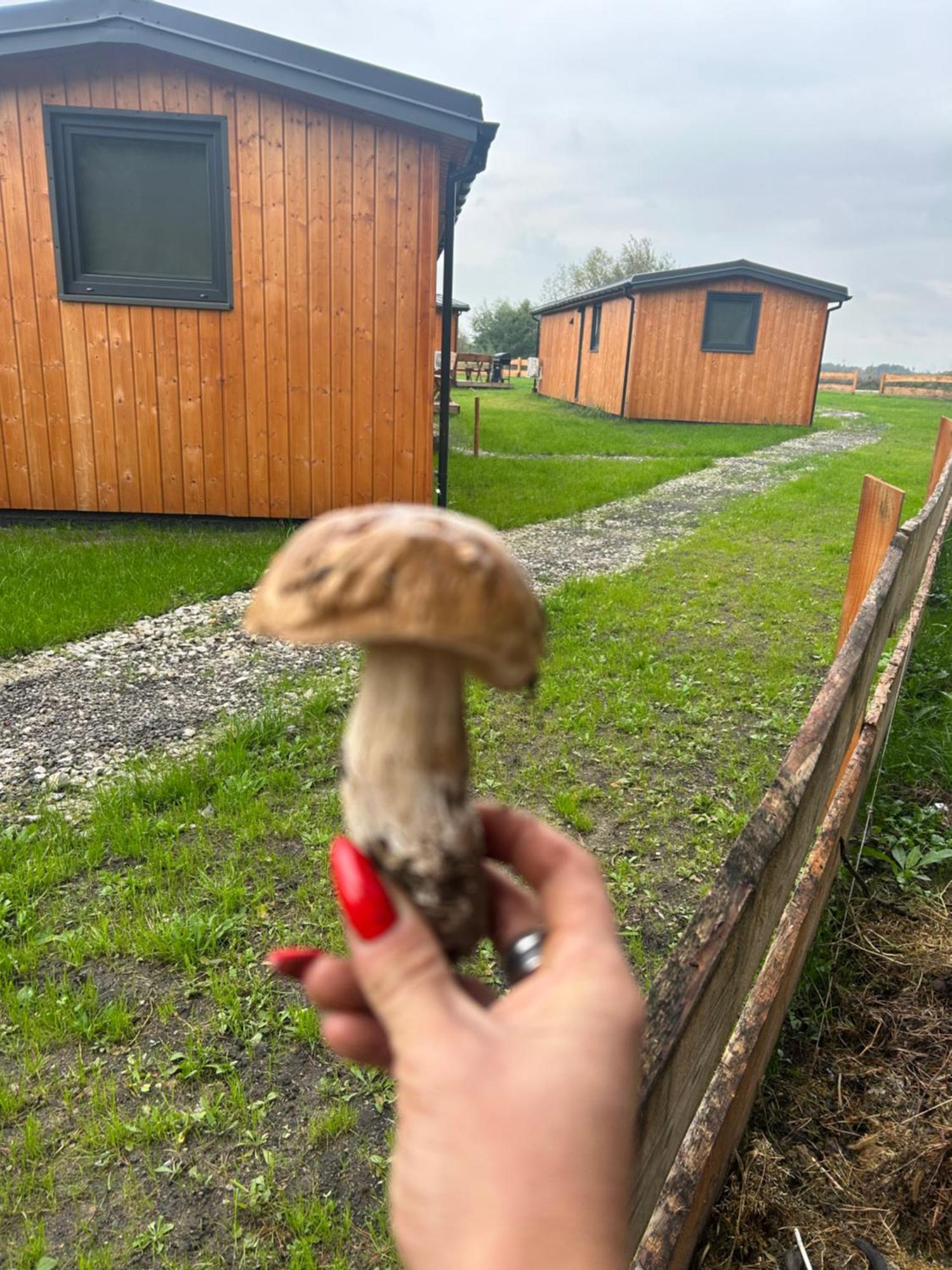 Zacisze Obok Suntago Park Otel Grabce-Towarzystwo Dış mekan fotoğraf